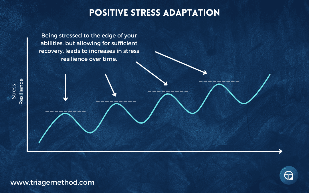 stress adaptation over time