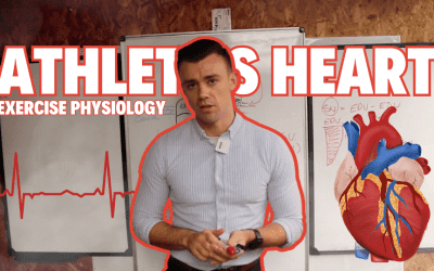 Heart Adaptations To Exercise