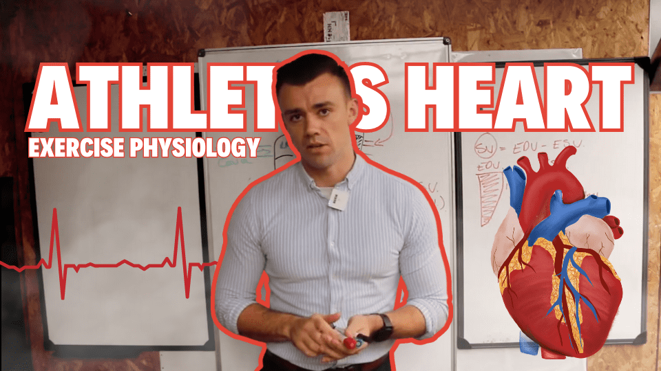 Heart Adaptations To Exercise