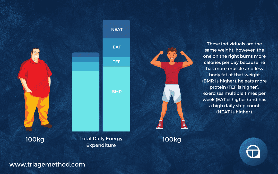 comparison of metabolisms