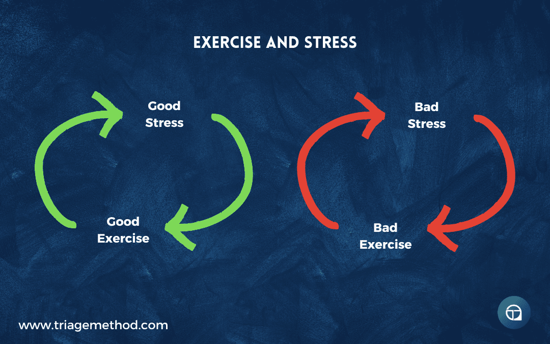 exercise and stress loop