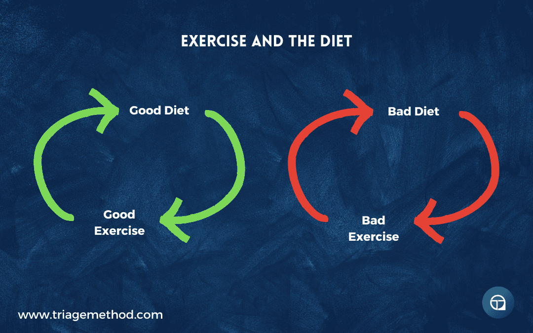 exercise and the diet loop