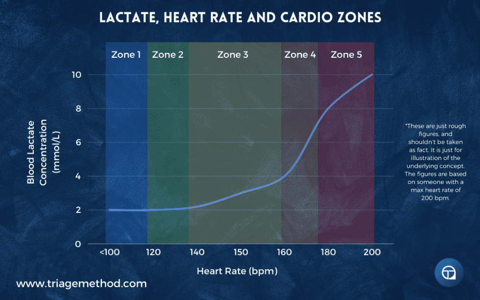 What Is Zone 2 Training (and Why Is Everyone Talking About It ...