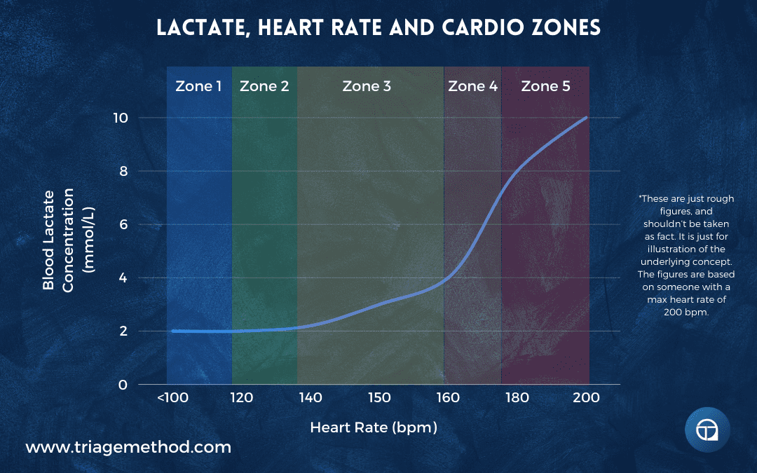 cardio protocols