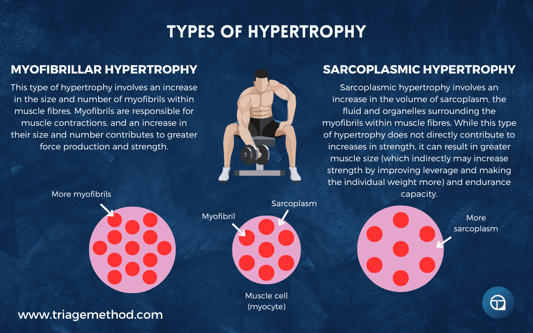 types of hypertrophy