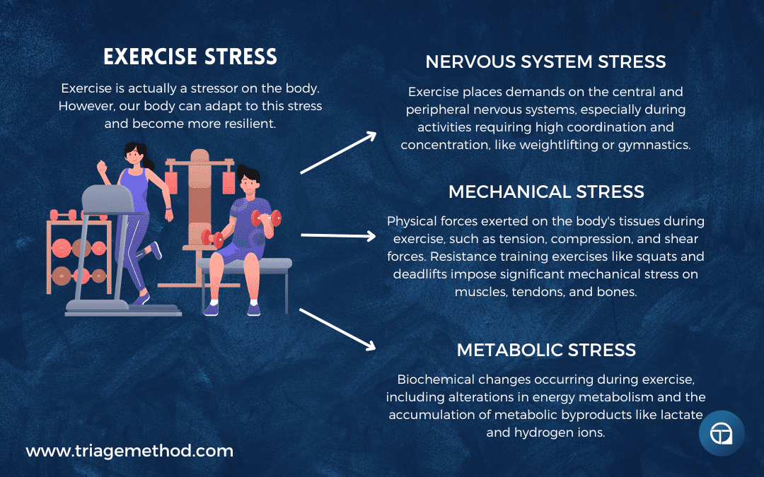 the different types of stress from exercise