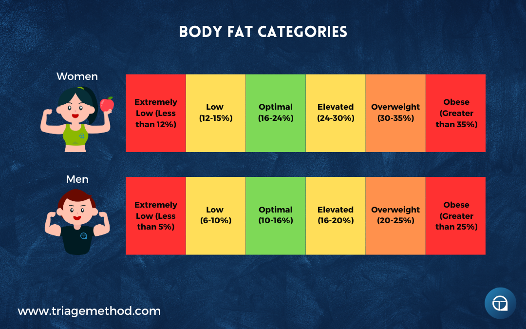 body fat categories