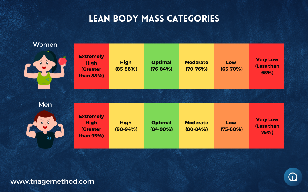 lean body mass categories