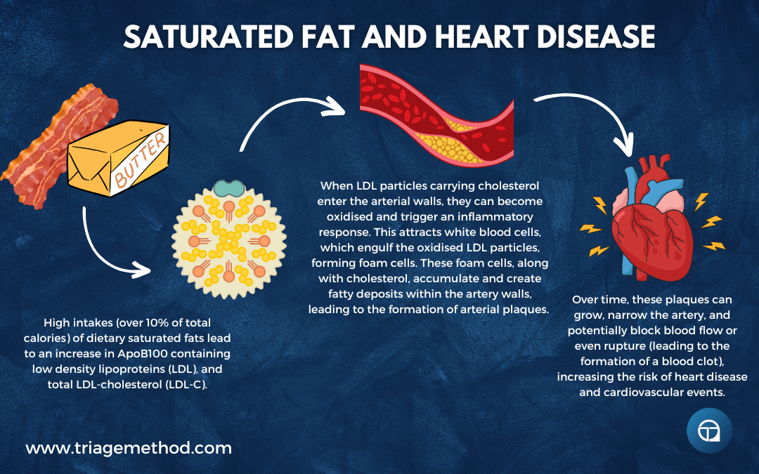 saturated fat intake and heart disease