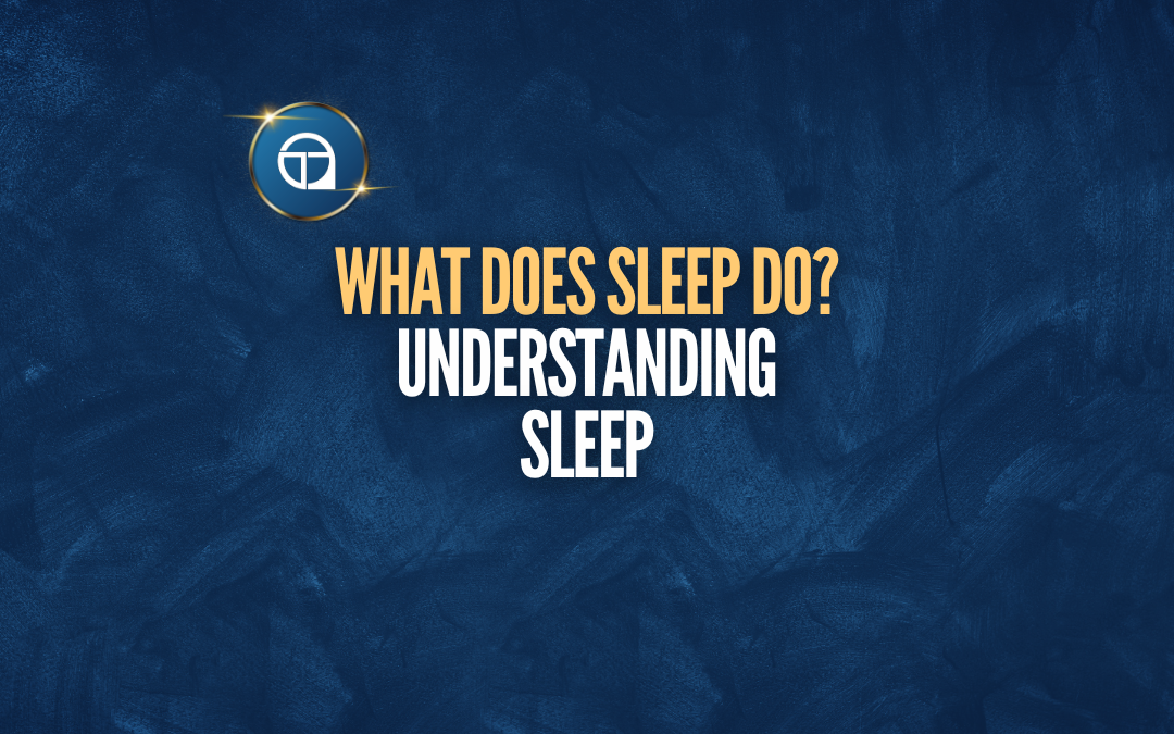 What Does Sleep Do?